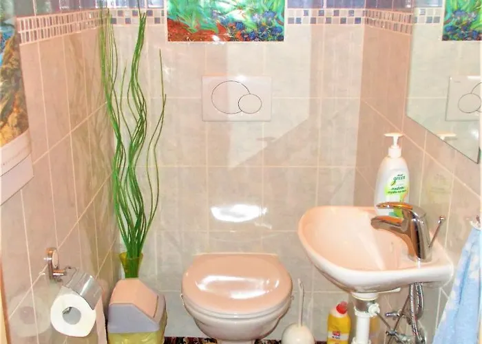 Soukromy 船上ホテル プラハ